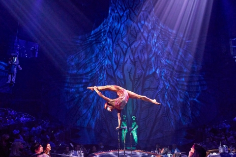 Cirque du Soleil JOYÀ dans la Riviera MayaSpectacle uniquement