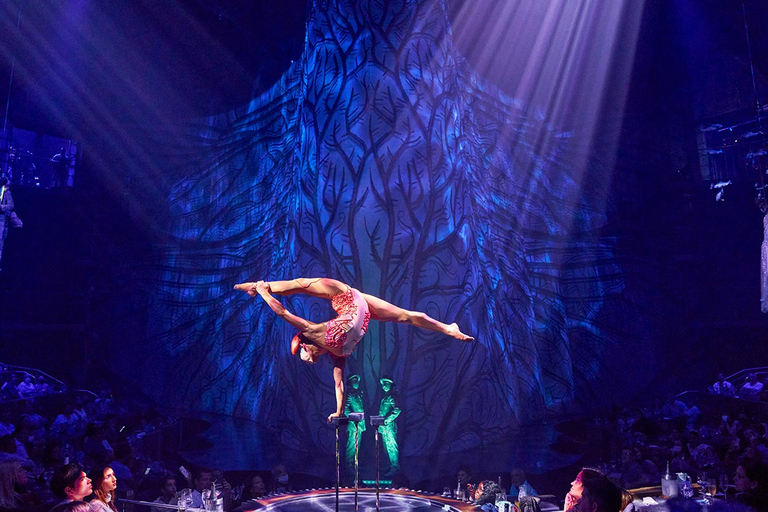 Riviera Maya: Cirque du Soleil JOYÀ BiljettMiddag, show och tryckt foto