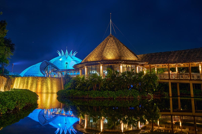 Riviera Maya: Cirque du Soleil JOYÀ BiljettMiddag, show och tryckt foto