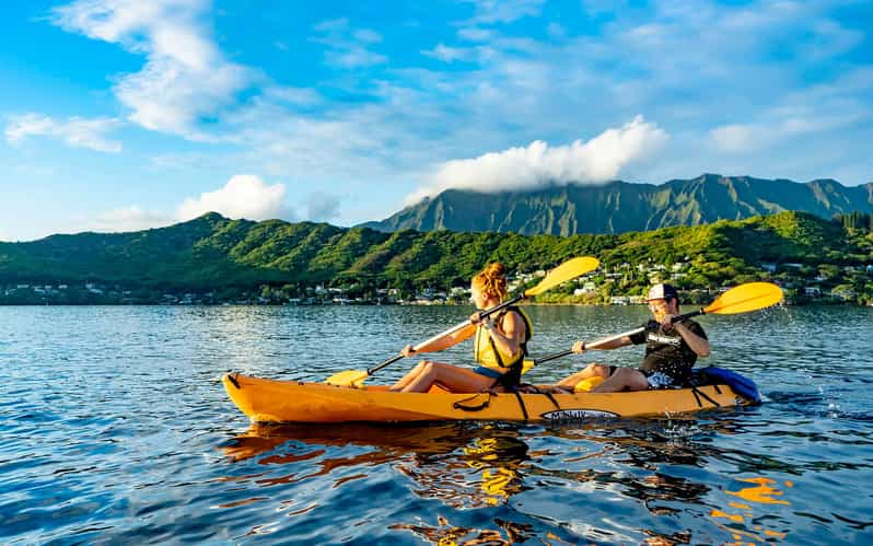 Oahu Kaneohe Bay Coral Reef Kayaking Rental GetYourGuide