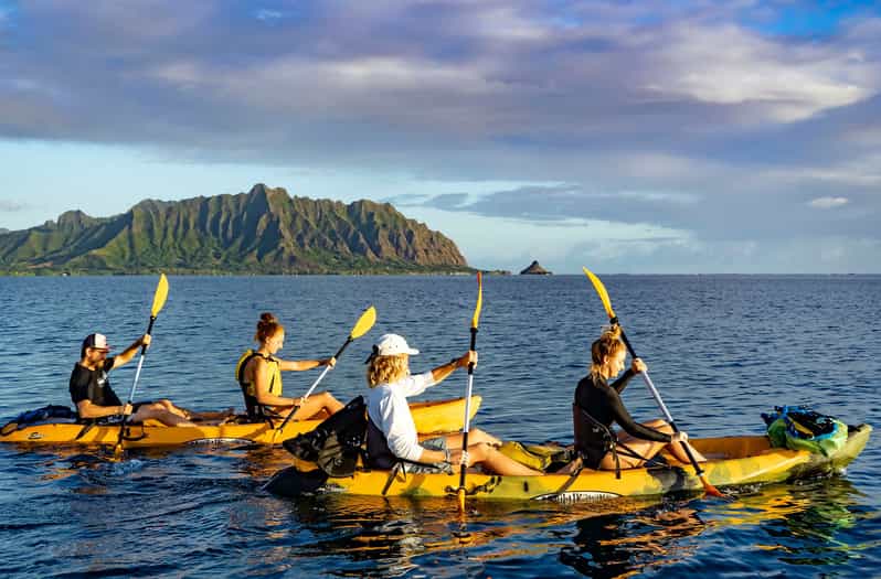 Oahu Kaneohe Bay Coral Reef Kayaking Rental GetYourGuide