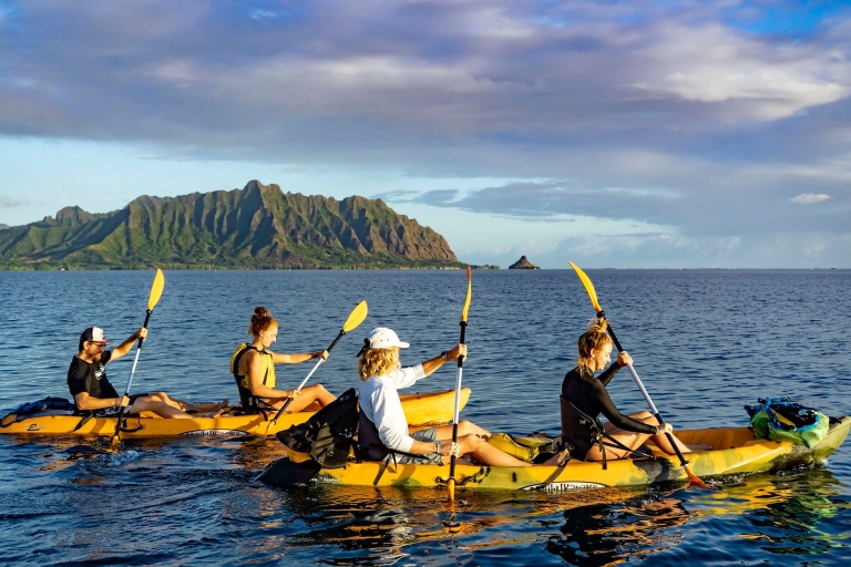 Kaneohe: aventura de alquiler de kayak en el arrecife de coral de Kaneohe Bay