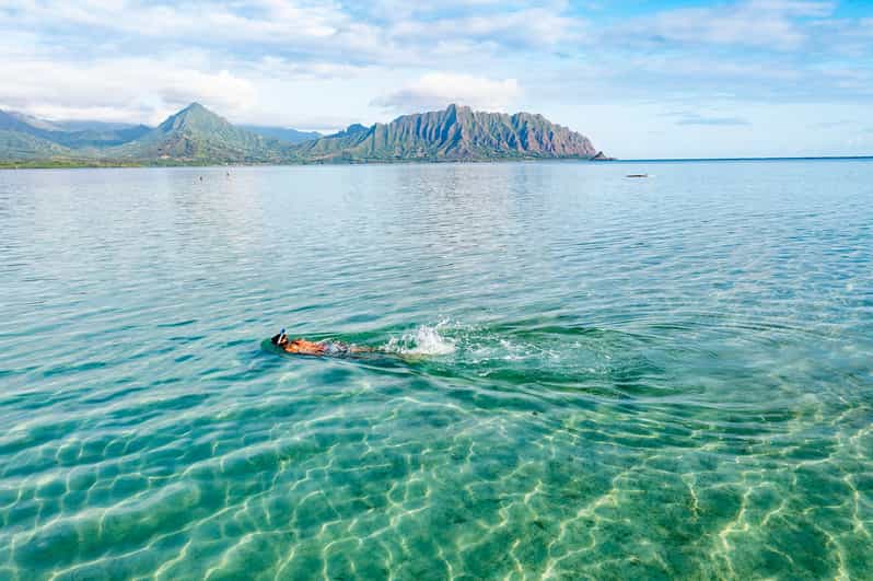 Oahu Kaneohe Bay Coral Reef Kayaking Rental GetYourGuide