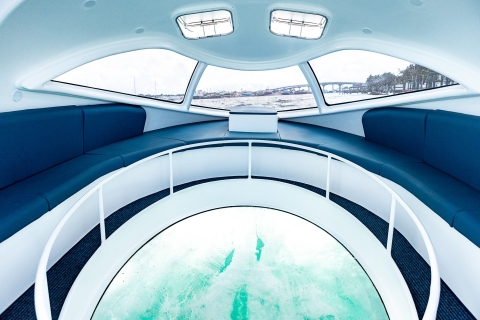 Paradise Island: tour en barco con fondo de cristal con comentarios en vivo