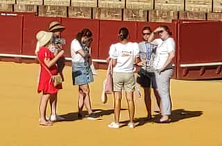 Sevilla: Stierkampfarena Führung mit einem Ticket ohne Anstehen