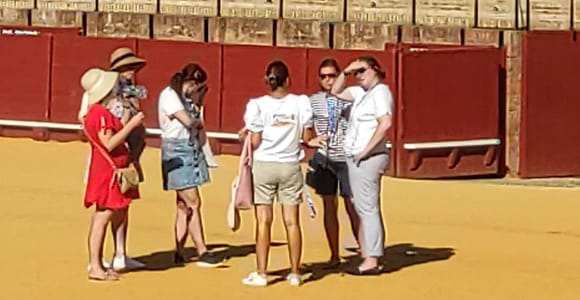 Seville: Bullring Guided Tour with a Skip-the-Line Ticket