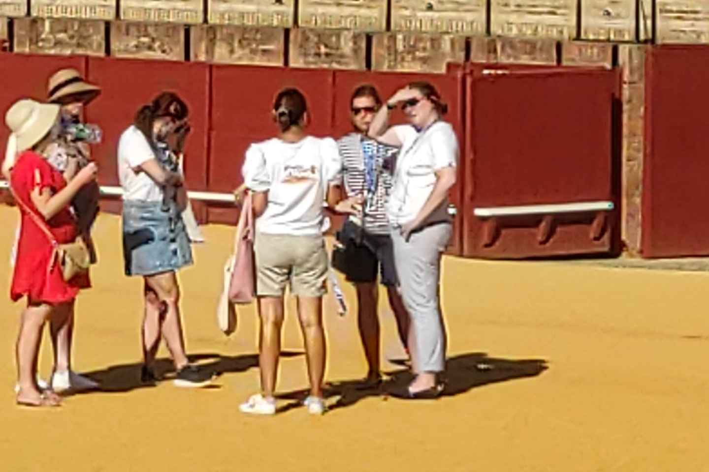 Seville: Bullring Guided Tour with a Skip-the-Line Ticket - Seville: Bullring Guided Tour with a Skip-the-Line Ticket
