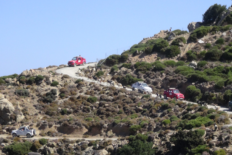 Self-Drive JeepTour alle montagne Thripti e piccoli villaggi