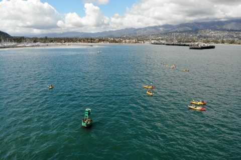 Santa Barbara: visite guidée en kayak des lions de mer