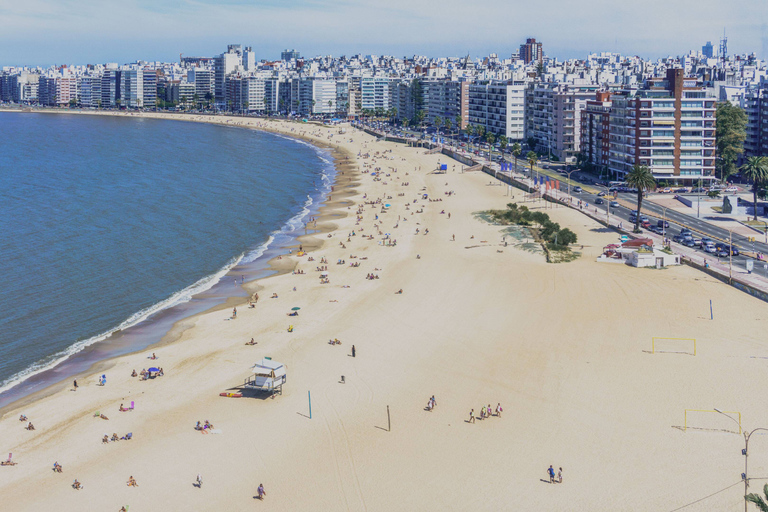 Upptäck Montevideo: Blandning av sightseeing och stadsattraktioner!