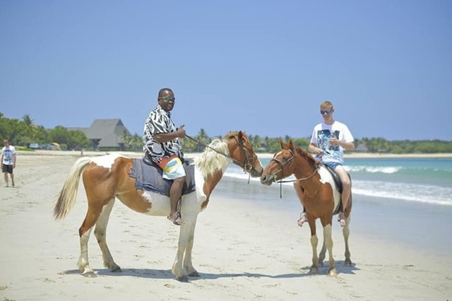 Visit Fiji Beach Horseback Riding Tour with Lunch and Transfer in Sigatoka, Fiji