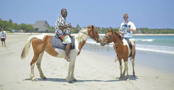 Fiji: Beach Horseback Riding Tour with Lunch and Transfer