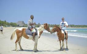 Fiji: Beach Horseback Riding Tour with Lunch and Transfer