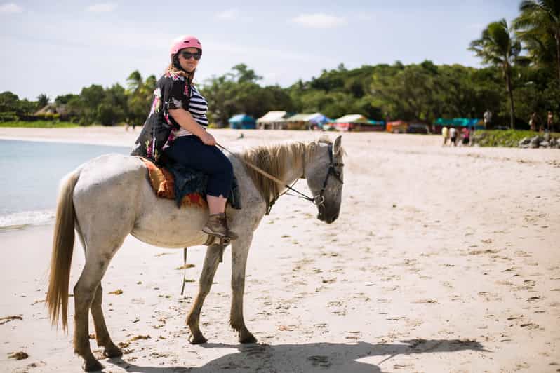 Fiji Beach Horseback Riding Tour with Lunch and Transfer GetYourGuide