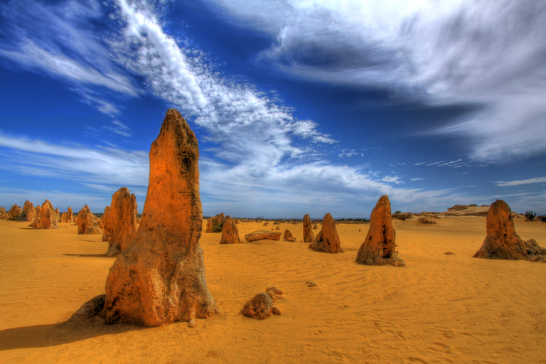 Au départ de Perth : Excursion d&#039;une journée dans le désert des Pinnacles, à Yanchep et dans la vallée de SwanAu départ de Perth : Excursion d&#039;une journée dans le désert de