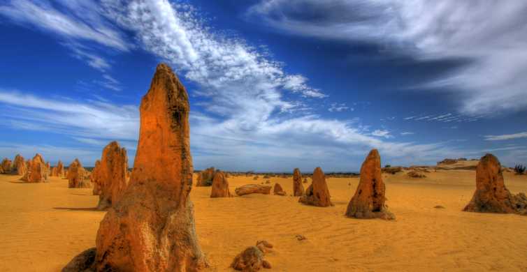 From Perth Pinnacle Desert Yanchep & Swan Valley Day Tour GetYourGuide