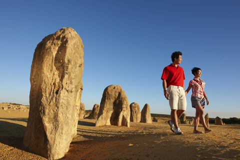 Au départ de Perth : Excursion d&#039;une journée dans le désert des Pinnacles, à Yanchep et dans la vallée de SwanAu départ de Perth : Excursion d&#039;une journée dans le désert de