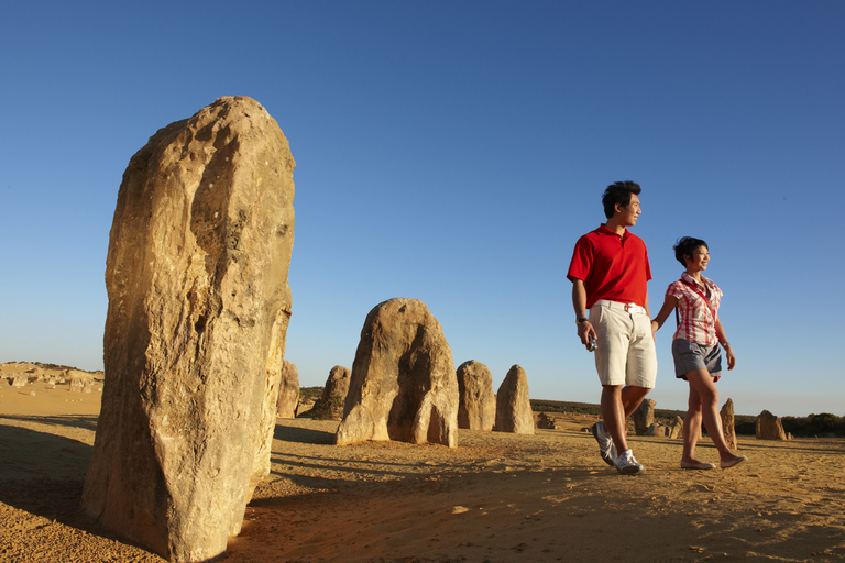 Vanuit Perth: dagtour Pinnacle Desert, Yanchep en Swan Valley