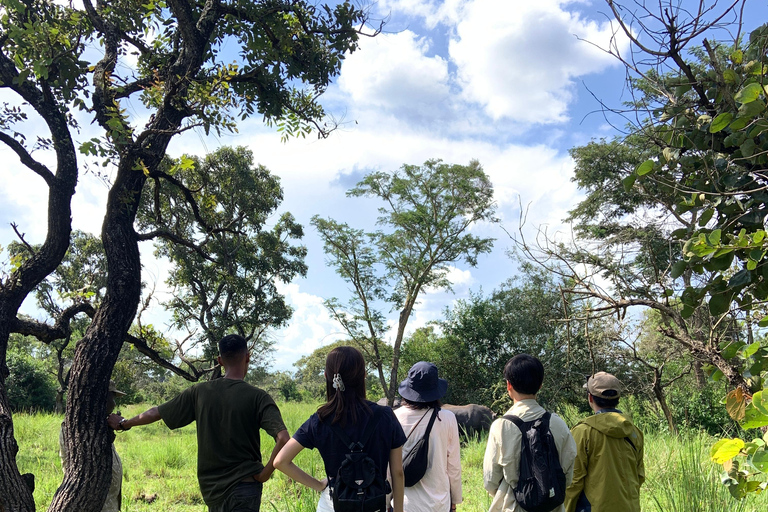 恩德培/坎帕拉：默奇森瀑布和齐瓦犀牛两日游