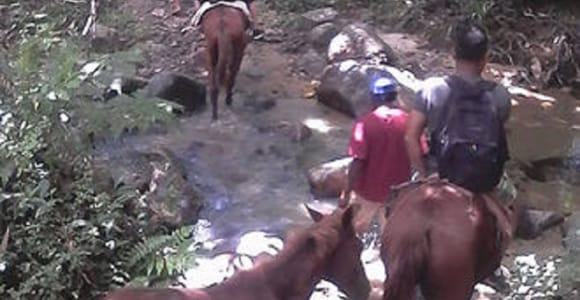 Fiji: Biasevu Village and Waterfall experience with Lunch