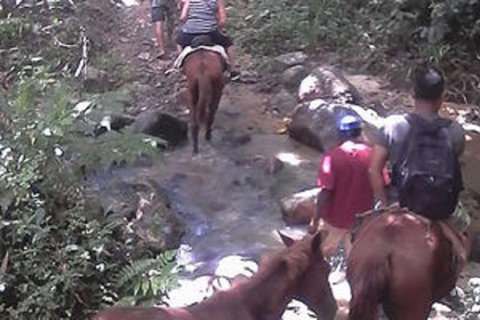 Fidżi: Biasevu Village i wodospad z lunchem