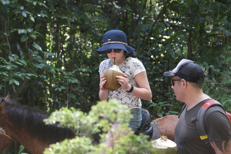 Fidżi: Biasevu Village i wodospad z lunchem