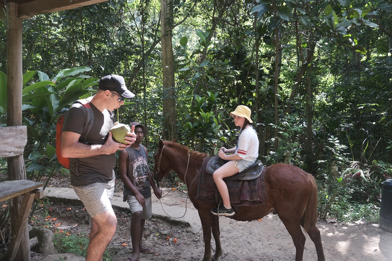 Fidżi: Biasevu Village i wodospad z lunchem