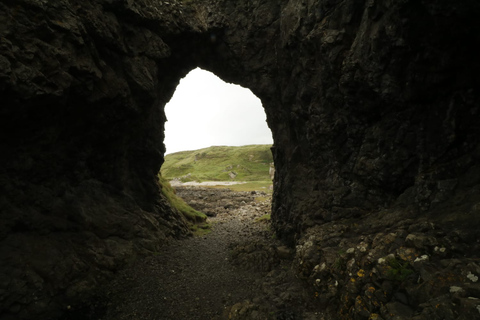 Desde Belfast: visita guiada privada de día completo a la Calzada de los Gigantes