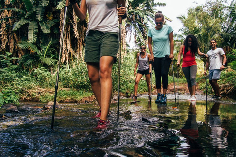 Mauritius: Bel Ombre Nature - Two Waterfalls Walking Trail Mauritius: Bel Ombre Nature Reserve Guided Trekking Tour