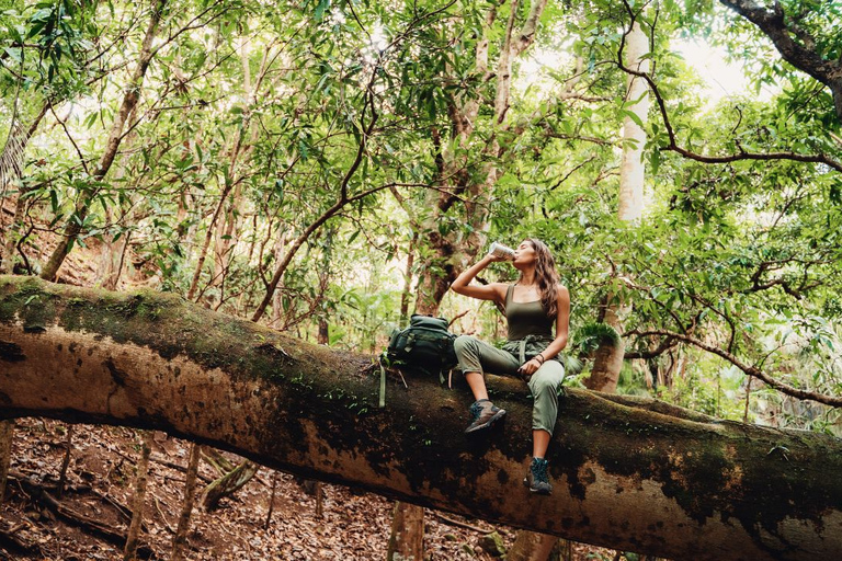 Mauritius: Bel Ombre Nature - Twee watervallen wandelpadMauritius: begeleide trektocht door natuurreservaat Bel Ombre