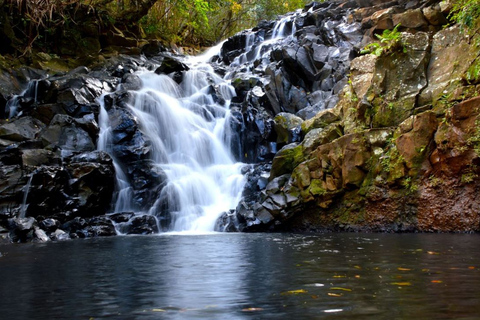 Mauritius: Bel Ombre Nature - Twee watervallen wandelpadMauritius: begeleide trektocht door natuurreservaat Bel Ombre