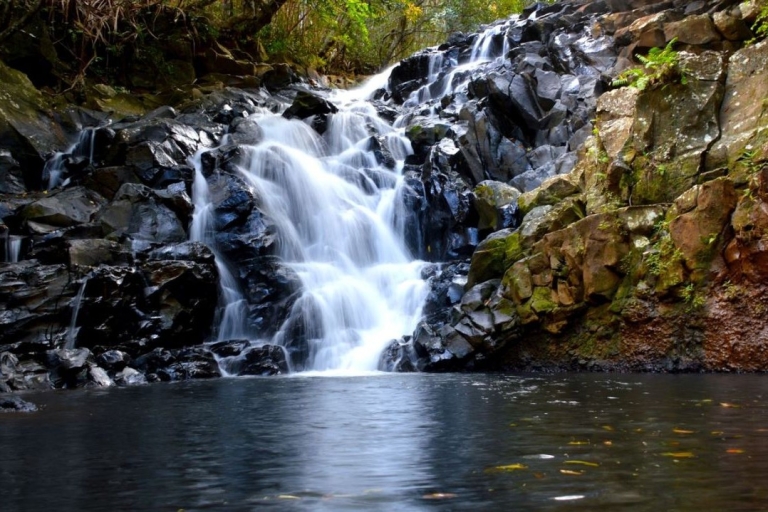 Mauritius: Bel Ombre Nature - Twee watervallen wandelpadMauritius: begeleide trektocht door natuurreservaat Bel Ombre