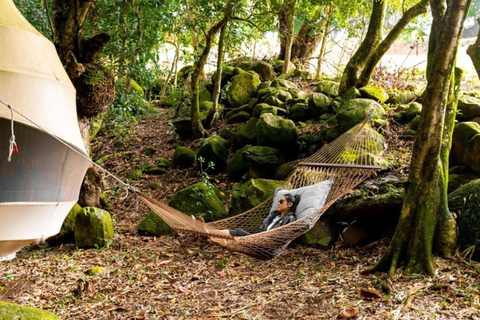 Mauritius: Bel Ombre Nature - Zwei Wasserfälle WanderwegMauritius: Bel Ombre Naturreservat Geführte Trekking-Tour