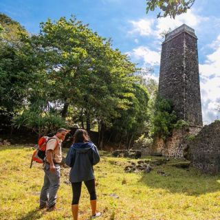 Mauritius: Bel Ombre Nature Reserve Guided Trekking Tour