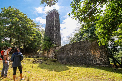 Mauritius: Bel Ombre Nature - Twee watervallen wandelpadMauritius: begeleide trektocht door natuurreservaat Bel Ombre