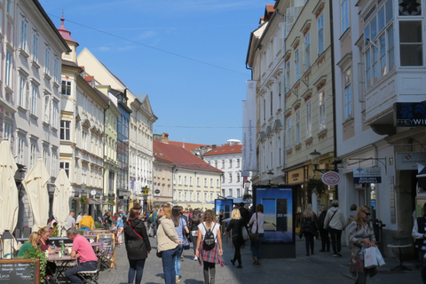 Från Zagreb: Dagstur med minibuss till Ljubljana och BledsjönFrån Zagreb: Ljubljana och Bled-sjön dagstur med minibuss