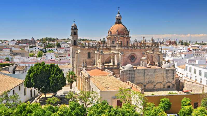 De Cádiz: Jerez de la Frontera viaje de día de día guiado privado