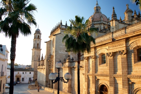 Desde Cádiz: excursión privada guiada de un día a Jerez de la Frontera