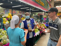 São Paulo, Klassische Halbtagestour mit privatem Sightseeing - Hizvo