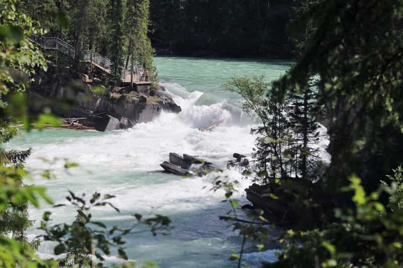 Jasper Nationalpark 5 stündige Fraser Fluss Rafting Tour GetYourGuide