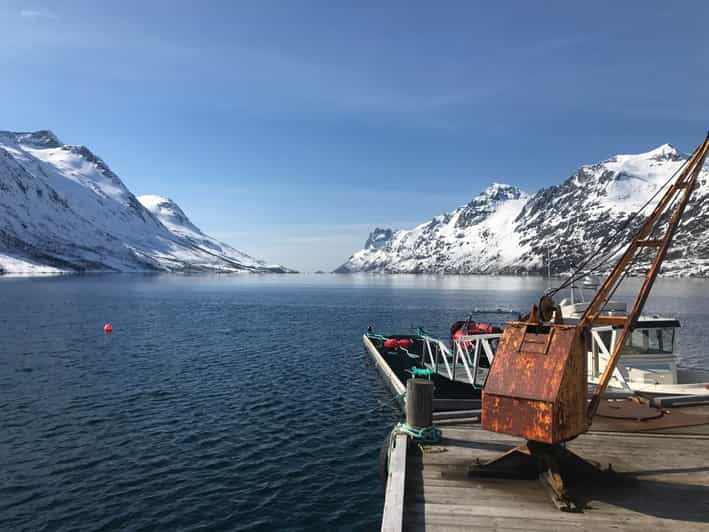 Tromsø: Tour privado de yates y fioros de minivan con bebida caliente