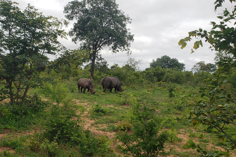 Livingstone: Mosi-oa-Tunya National Park White Rhino Tour