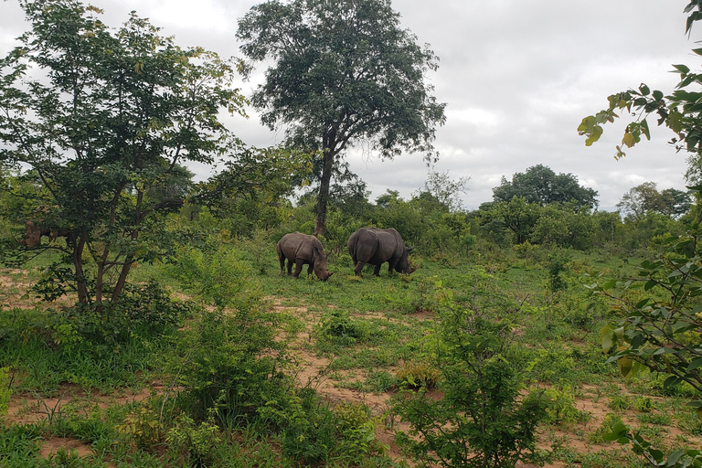 Livingstone: Mosi-oa-Tunya National Park White Rhino Tour