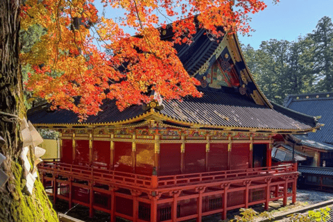 From Tokyo: Nikko Private Full-Day Heritage & Nature Tour
