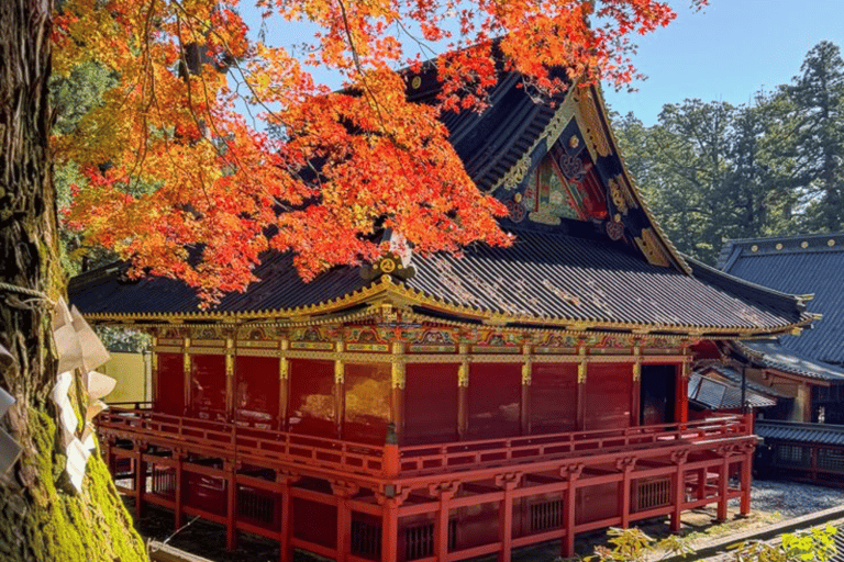 From Tokyo: Nikko Private Full-Day Heritage & Nature Tour