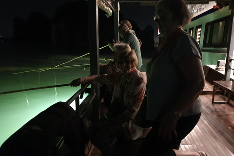 Swan Cruises Explore Hidden Bai Tu Long Bay - All Inclusive 2D1N Cruise Only