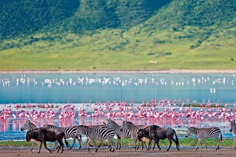 4-Day Masai Mara and Lake Nakuru Safari