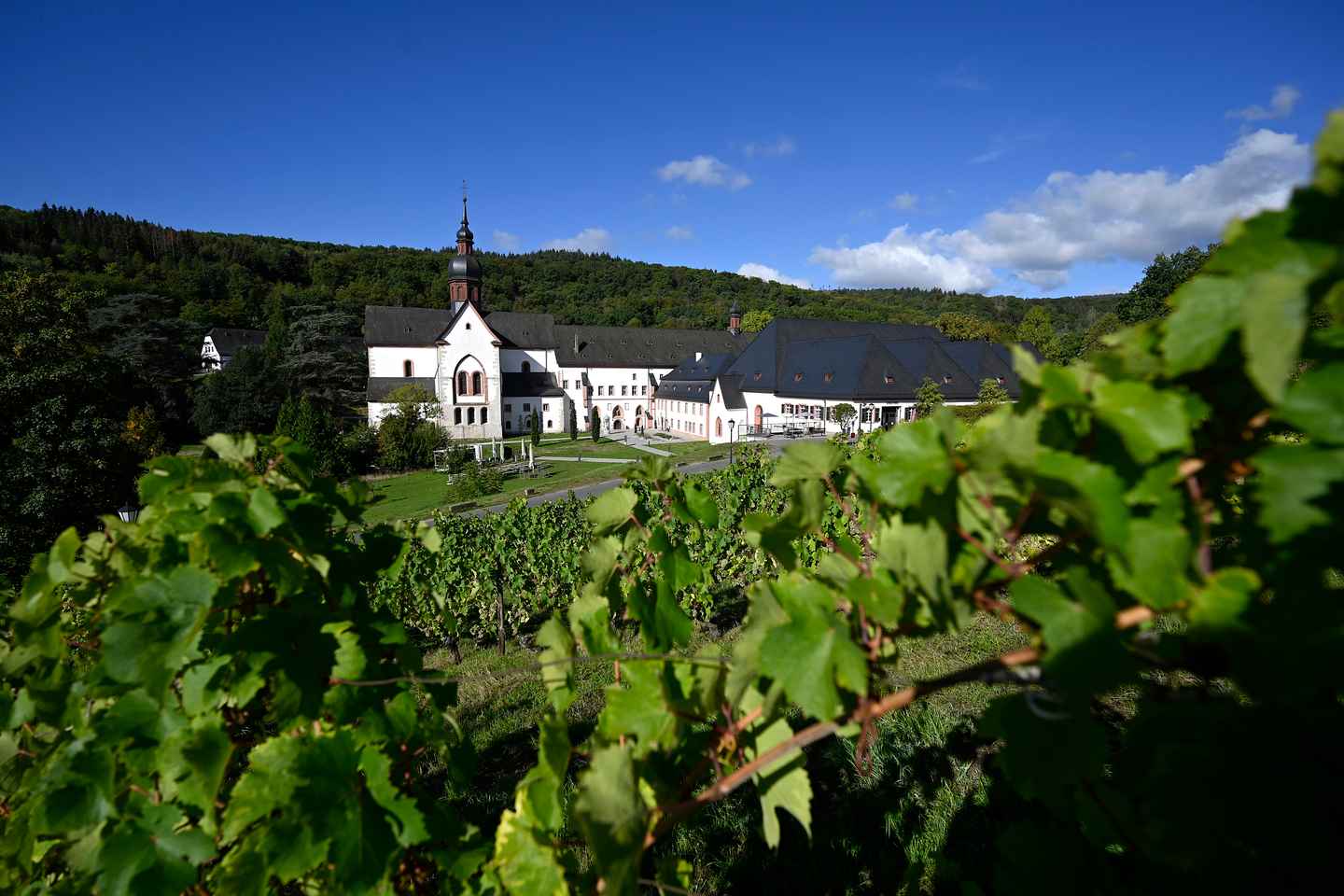 Eltville: Eberbach Monastery Entry Ticket