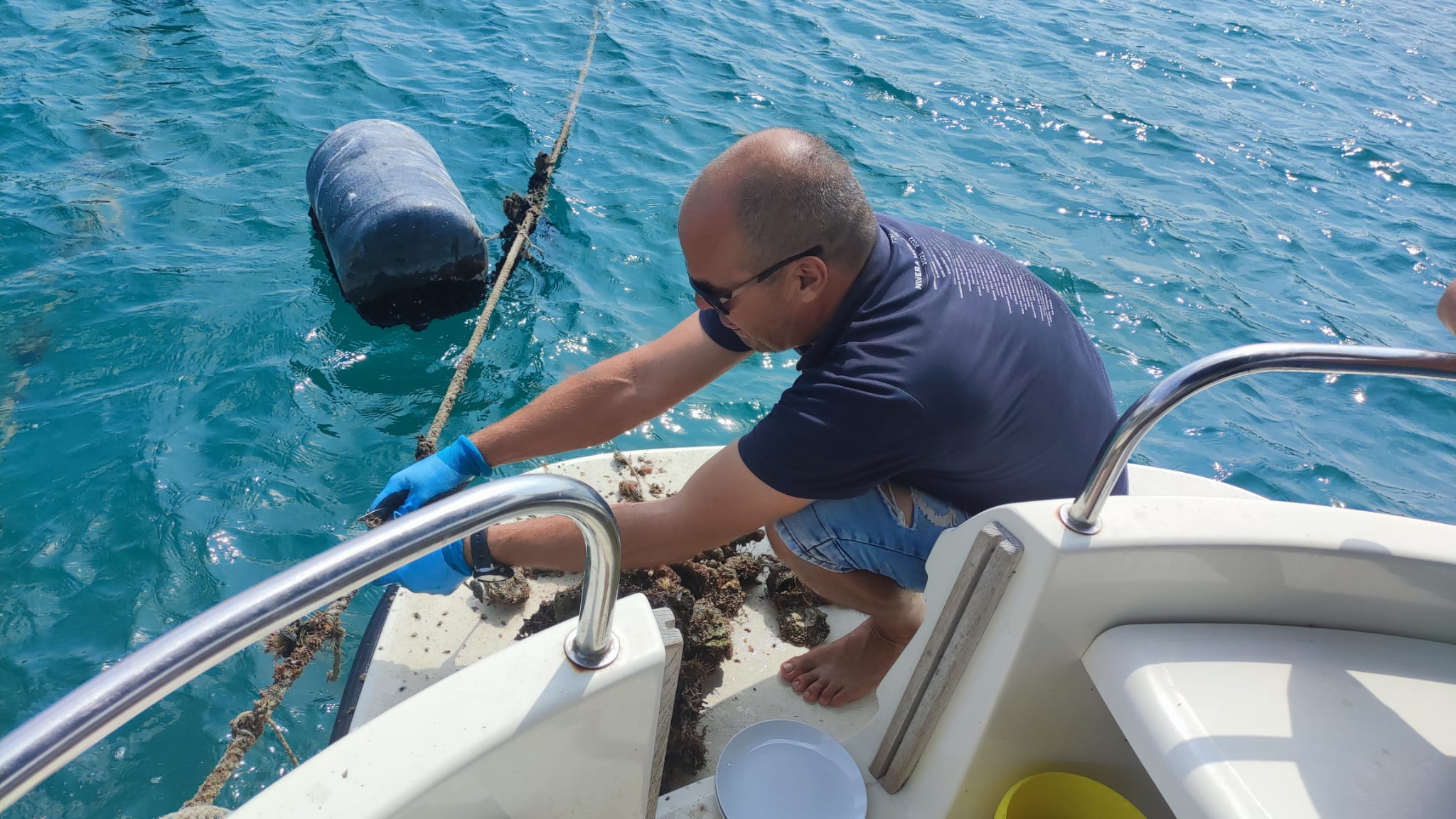 Dubrovnik: Austern-, Muschel- und Weinprobe-Tour in Ston (Mittagessen)