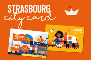 Strasbourg: 7-Day City Pass